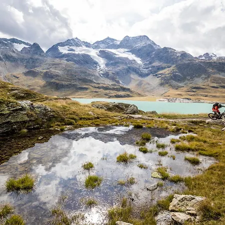 By Randolins St. Moritz